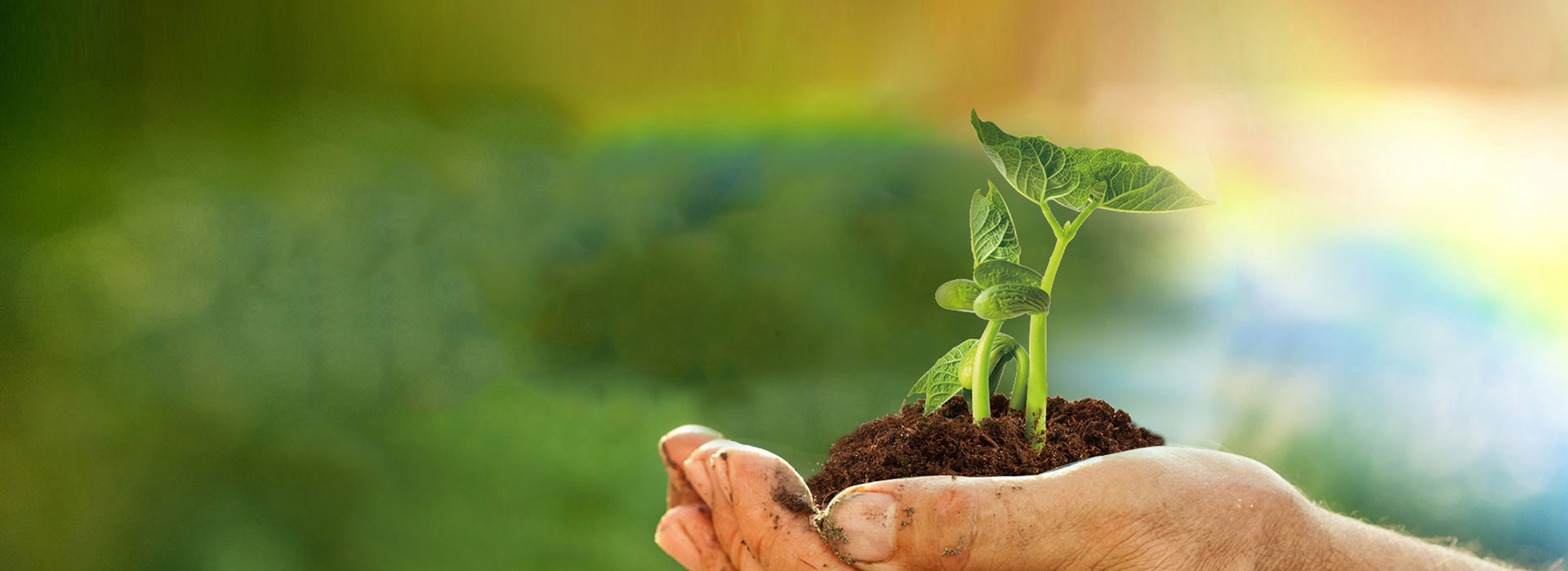 ½ñÄê»á¡¤(Öйú´ó½)ÈÏÖ¤´ÈÉÆ»ú¹¹