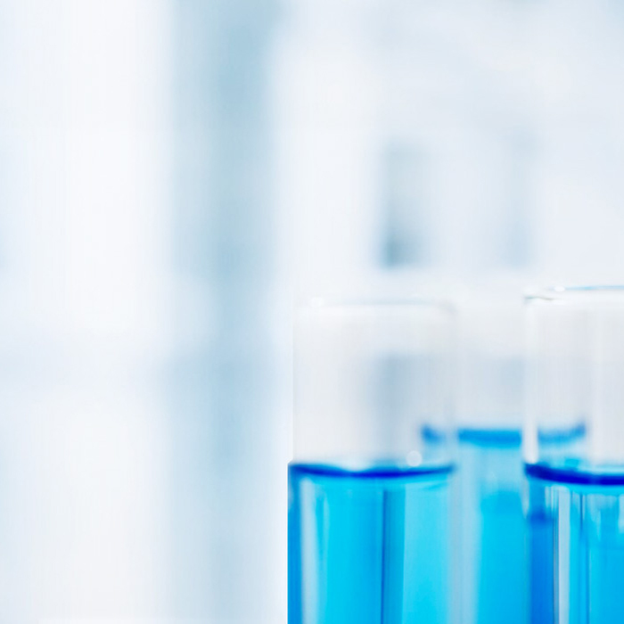 ½ñÄê»á¡¤(Öйú´ó½)ÈÏÖ¤´ÈÉÆ»ú¹¹