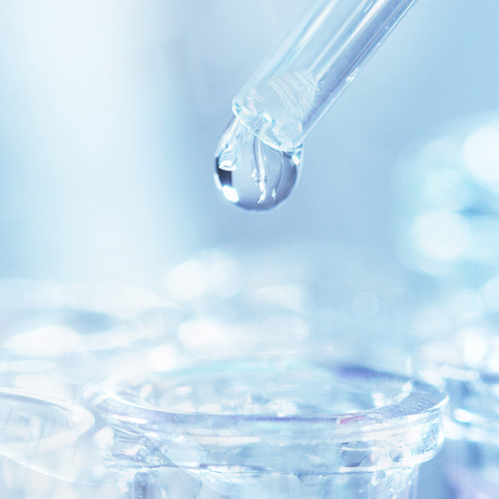 ����ᡤ(�й���½)��֤���ƻ���