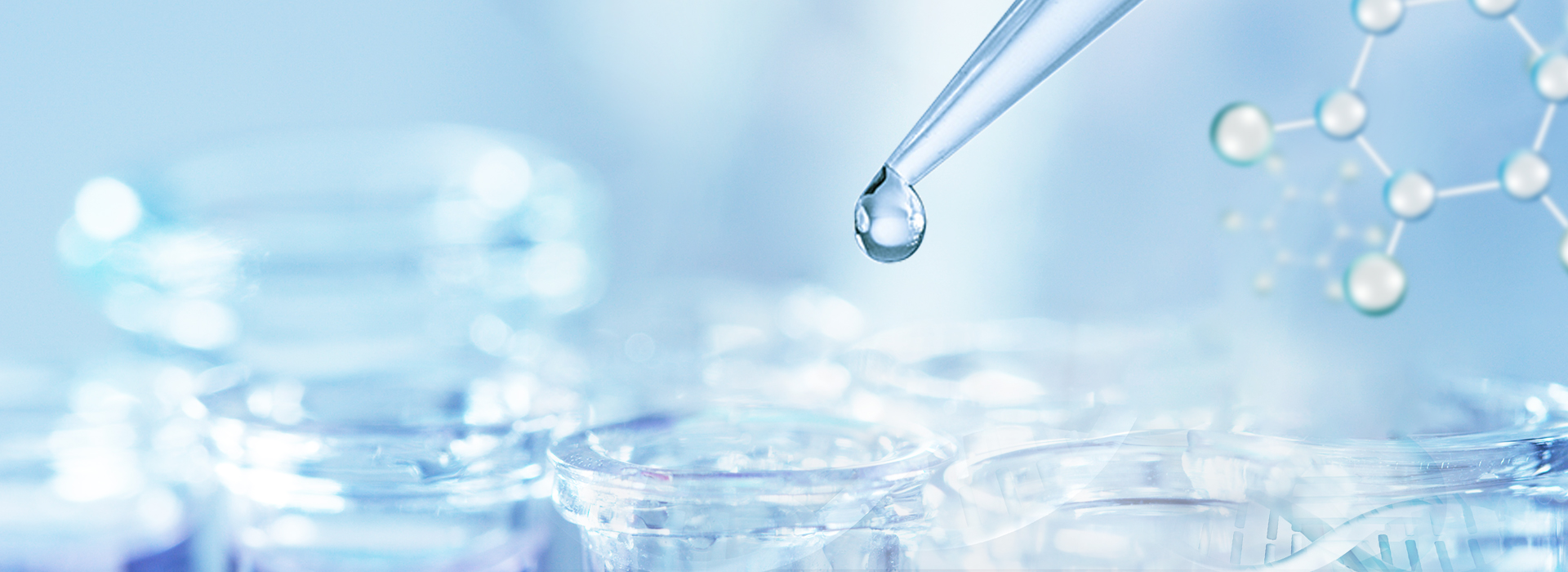 ����ᡤ(�й���½)��֤���ƻ���