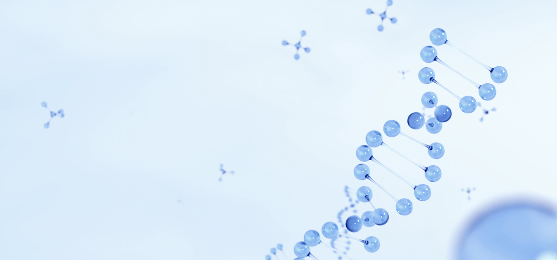 ½ñÄê»á¡¤(Öйú´ó½)ÈÏÖ¤´ÈÉÆ»ú¹¹