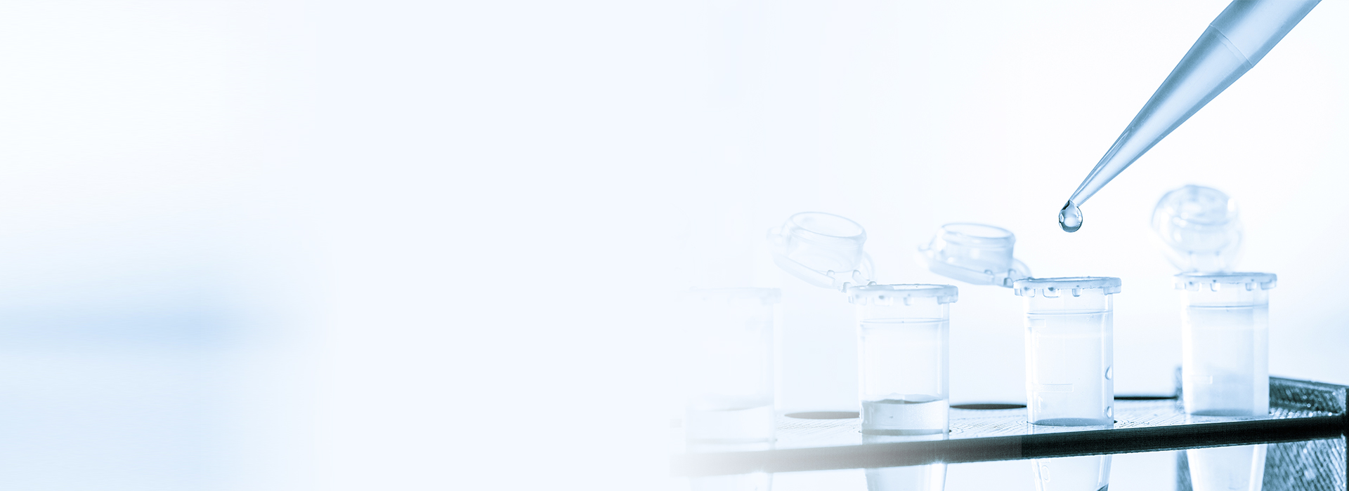 ½ñÄê»á¡¤(Öйú´ó½)ÈÏÖ¤´ÈÉÆ»ú¹¹